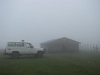 IMG_2387.JPG